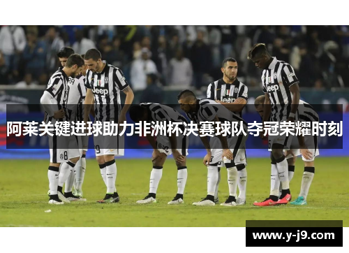 阿莱关键进球助力非洲杯决赛球队夺冠荣耀时刻
