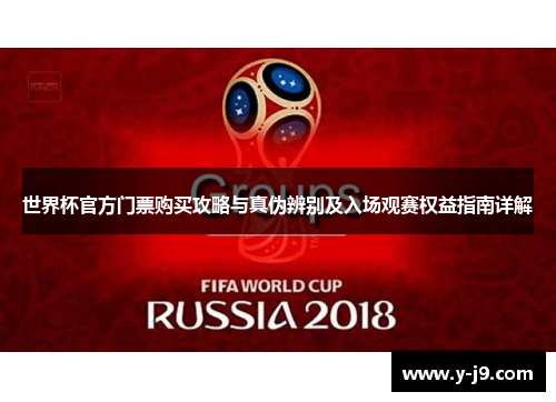 世界杯官方门票购买攻略与真伪辨别及入场观赛权益指南详解