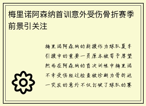 梅里诺阿森纳首训意外受伤骨折赛季前景引关注